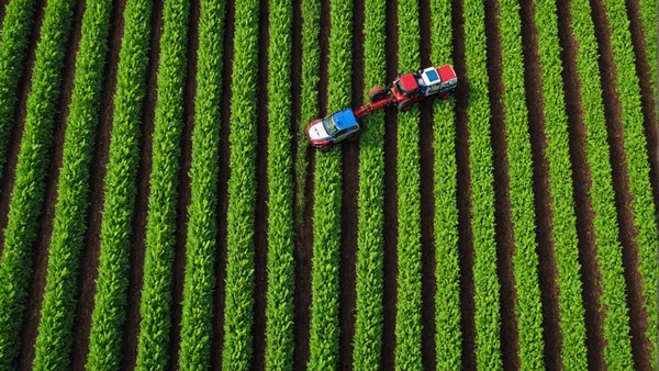Gestionnaire d'actif agricole: transition réussie vers l'agriculture régénérative